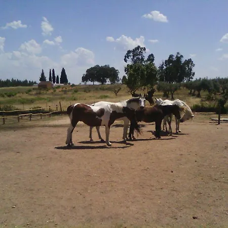 Casa De Burros
