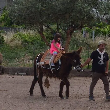 Casa De Burros Chao da Va