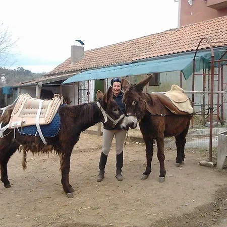 Casa De Burros