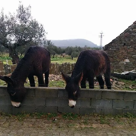 Casa De Burros
