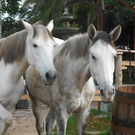 Country house Casa De Burros *