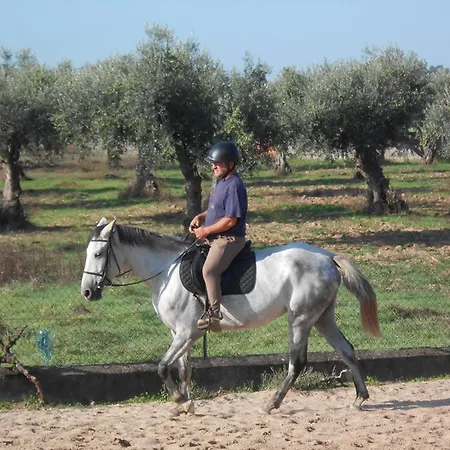 Casa De Burros